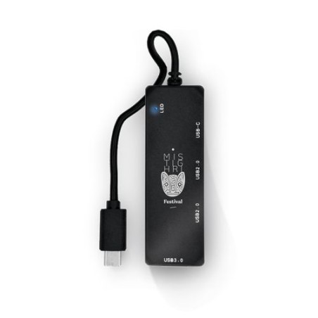 HUB RABS Multipport USB Type-C : Connectivité Simplifiée