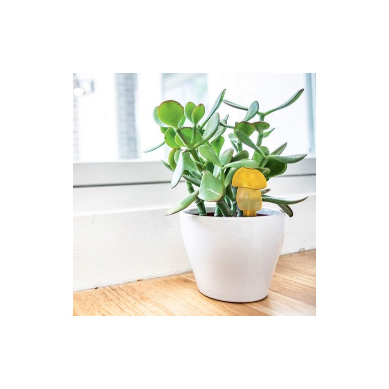 Arroseur Autonome Écologique : Prendre Soin des Plantes