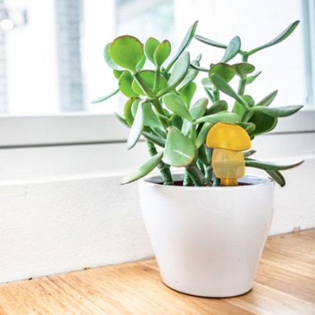 Arroseur Autonome Écologique : Prendre Soin des Plantes