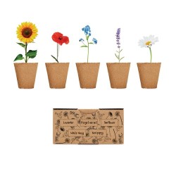 Kit de Culture de Fleurs Éco-responsable Personnalisé - FLOWERS Matières : papier Couleurs : beige