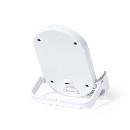 Chargeur Éco-responsable Personnalisé Édition Limitée pas cher - Buisson Matières : ABS Couleurs : blanc cadeau client original