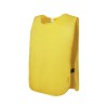 Chasuble Colorée Personnalisée Unique pour Enfants - Wiki Matières : polyester Couleurs : bleu objet promotionnel éco-responsabl