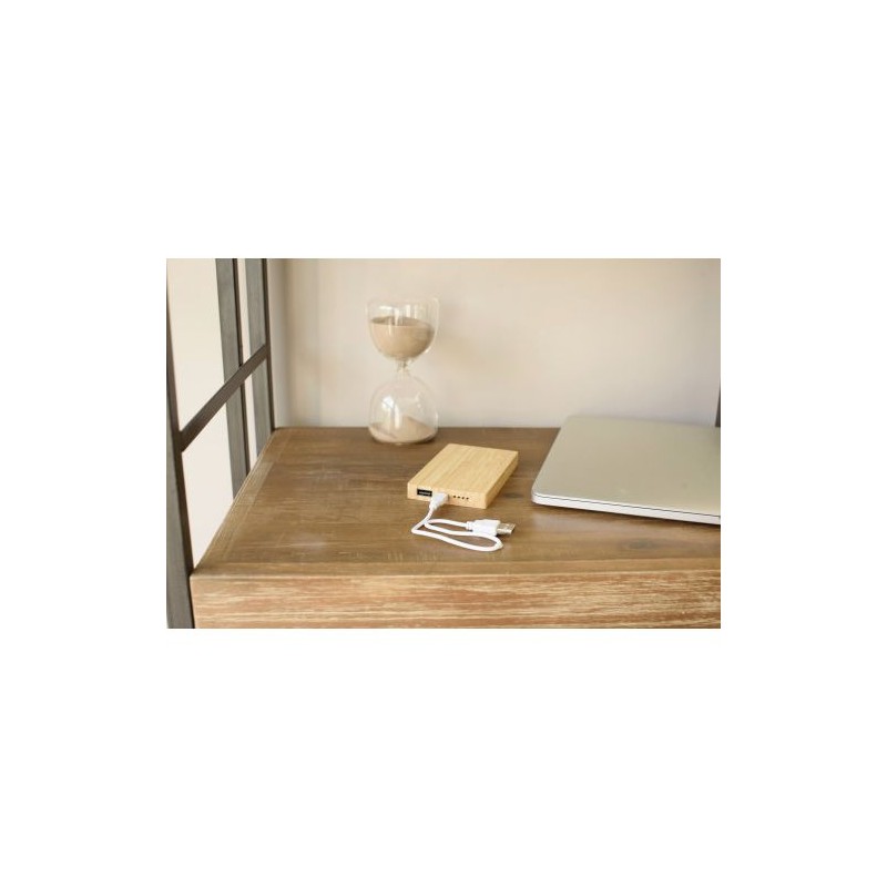 Chargeur Batterie Ultra-Pratique