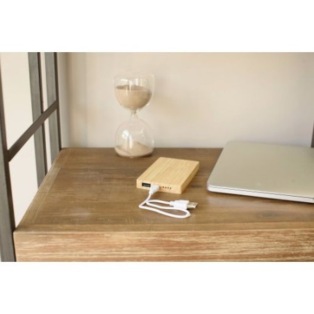 Chargeur Batterie Ultra-Pratique