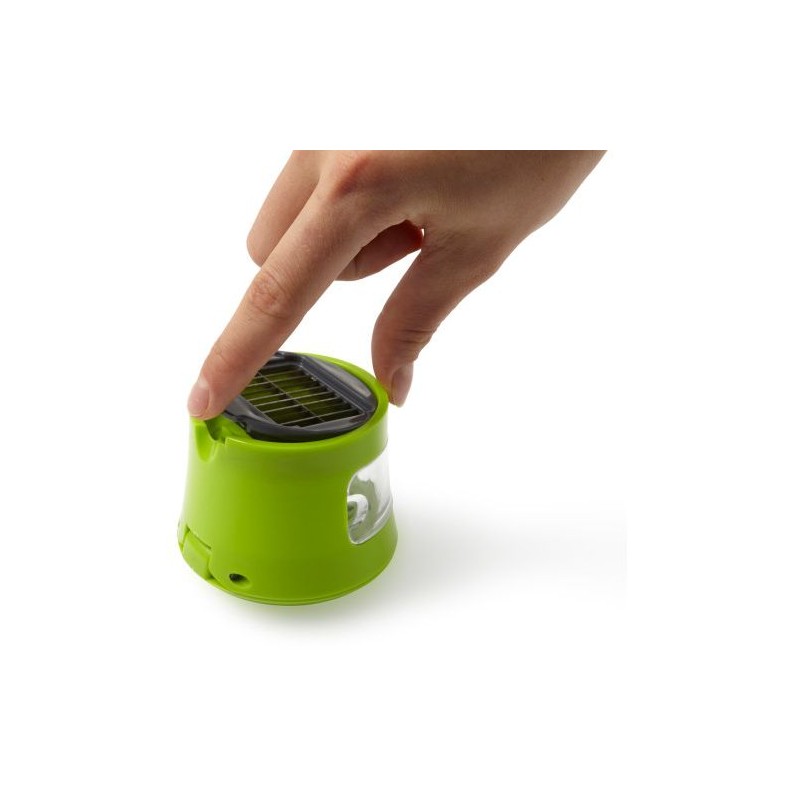 Coupe-ail Rosetta en Acier Inoxydable