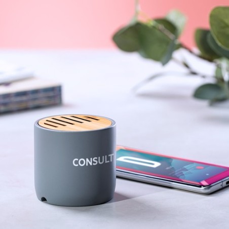 Haut-Parleur Bluetooth Personnalisé Design pas cher - Piler Matières : bambou impression haute définition