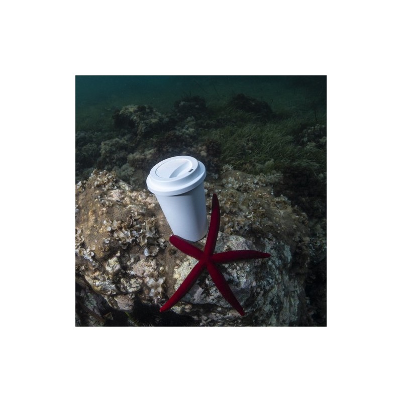 Gobelet Jetable Petel - Écologique et Pratique