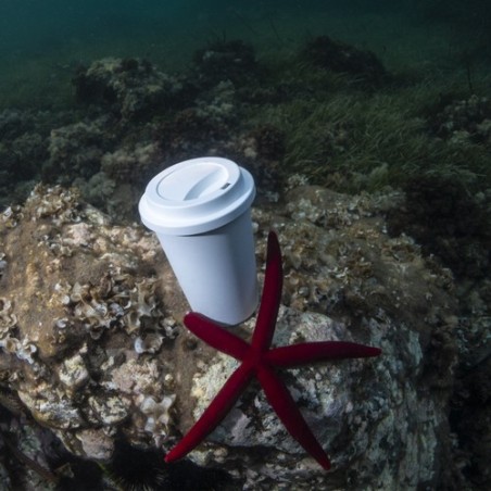 Gobelet Jetable Petel - Écologique et Pratique