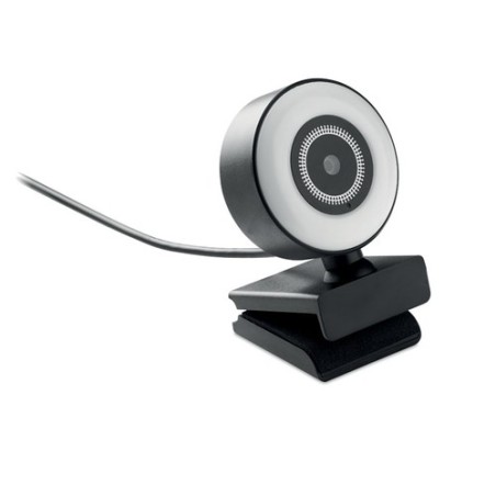 Webcam HD 1080P avec Lumière LAGANI