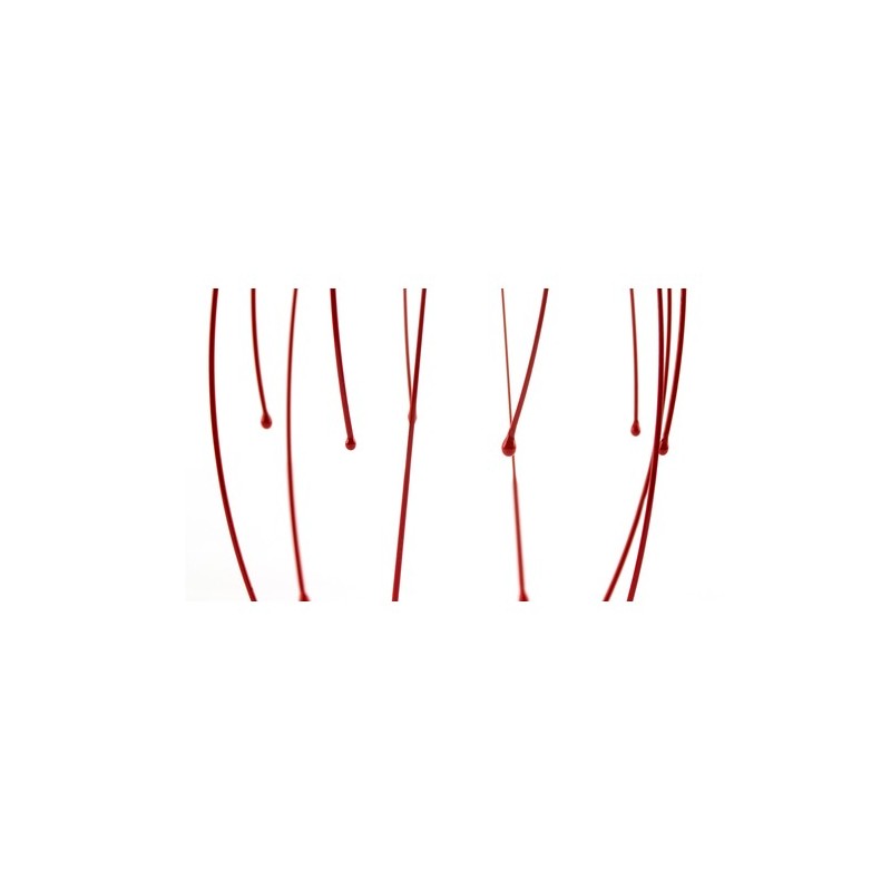 Masseur Citus : Bien-être à portée de main