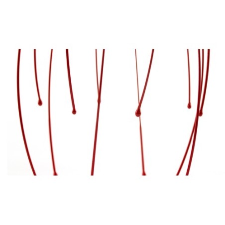 Masseur Citus : Bien-être à portée de main