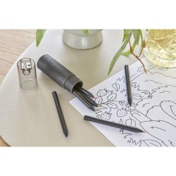 Set de 6 crayons Holger 2