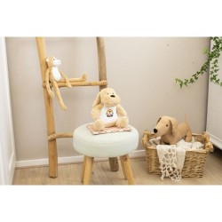 Peluche personnalisée en polyester 'Chien' - Hailey Matières : polyester Couleurs : beige livraison express 24h 48h