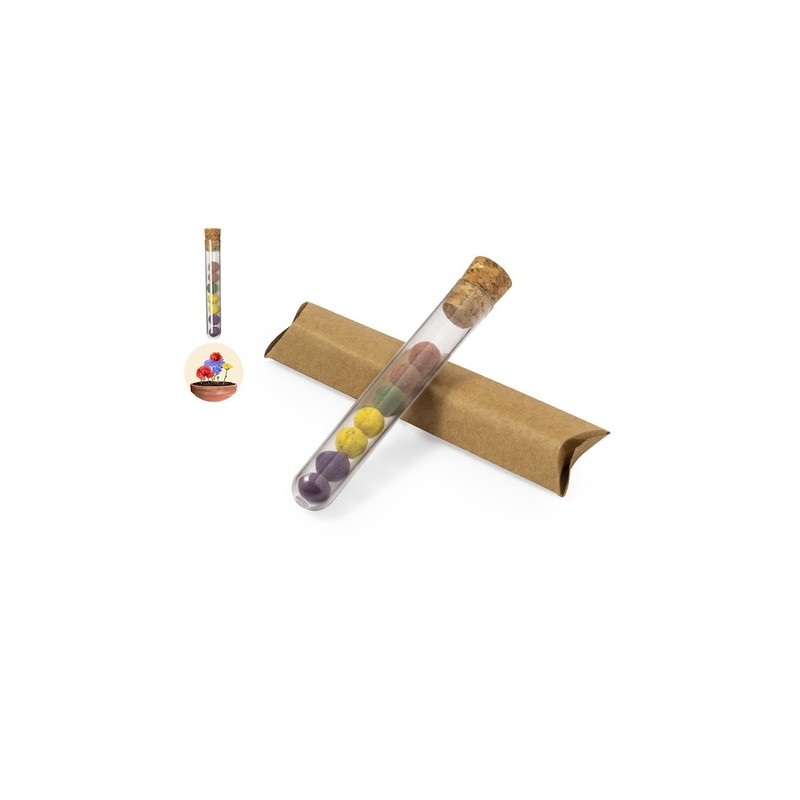 Set Bonbon Graines Dinaclex - Kit de Potager Écologique