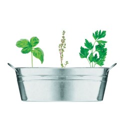 Bac en zinc  avec herbes aromatiques personnalisées - MIX SEEDS Matières : métal Couleurs : argenté mat 2