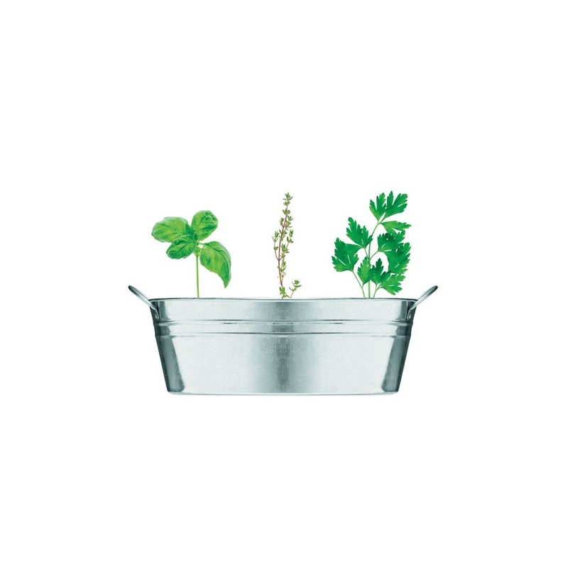Bac en zinc  avec herbes aromatiques personnalisées - MIX SEEDS Matières : métal Couleurs : argenté mat personnalisable avec vot