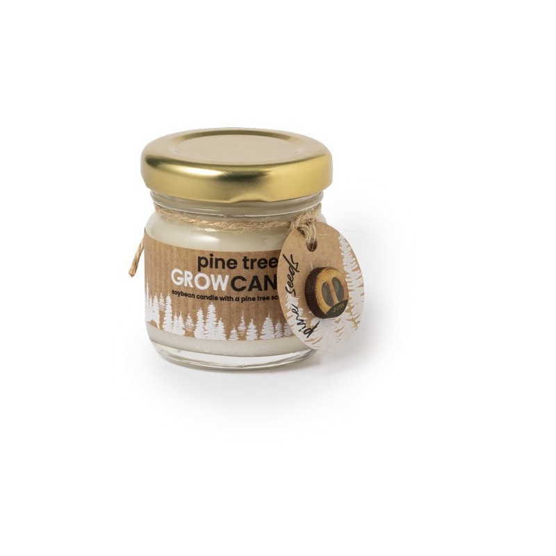 Bougie Aromatique Lisa - Élégance et Parfum