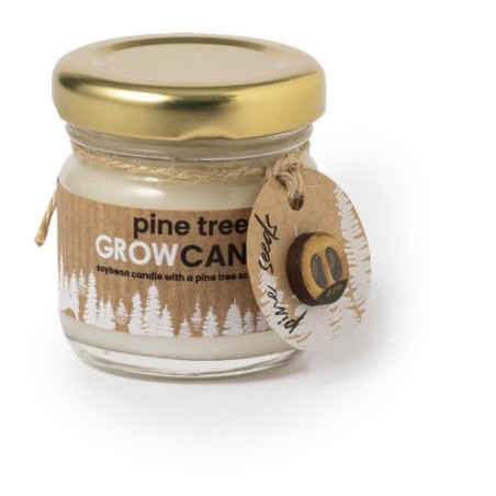 Bougie Aromatique Lisa - Élégance et Parfum