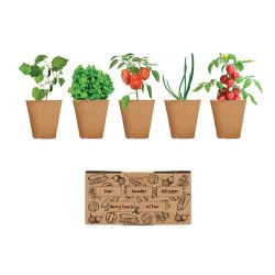 Kit de culture de salade personnalisé avec graines et terreau inclus - Pas cher