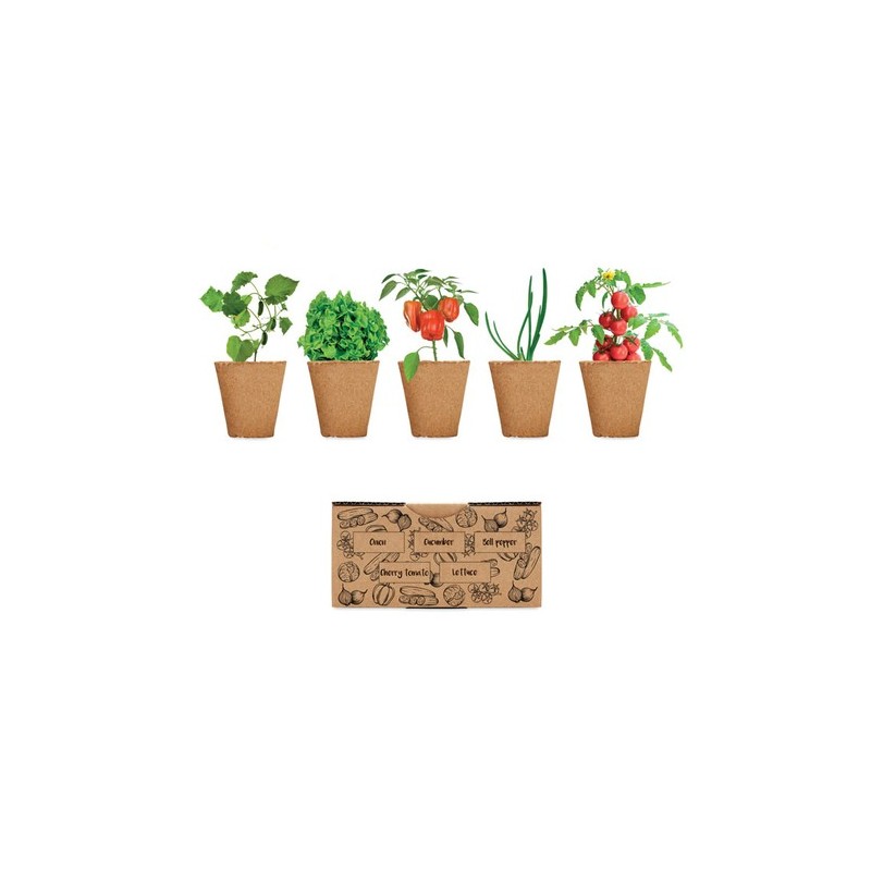Kit de culture de salade personnalisé avec graines et terreau inclus - Pas cher Matières : papier Couleurs : beige