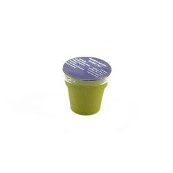 Pot de Fleurs Pratique et Biodégradable Personnalisé - Advert Couleurs : naturel cadeau affaires élégant