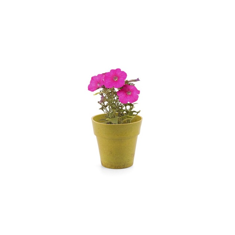 Pot de Fleurs Pratique et Biodégradable Personnalisé - Advert Couleurs : naturel objet promo petit budget