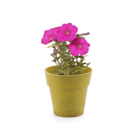 Pot de Fleurs Pratique et Biodégradable Personnalisé - Advert Couleurs : naturel objet promo petit budget