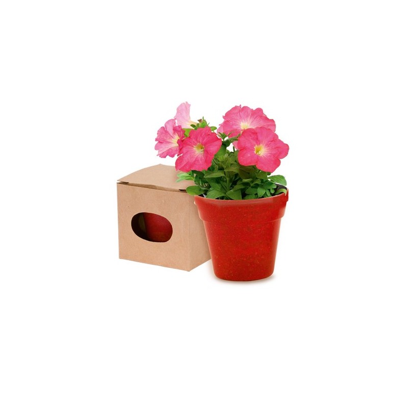 Pot de Fleurs Pratique et Biodégradable Personnalisé - Advert Couleurs : naturel cadeau collaborateur premium