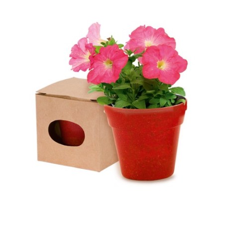 Pot de Fleurs Pratique et Biodégradable Personnalisé - Advert Couleurs : naturel cadeau collaborateur premium