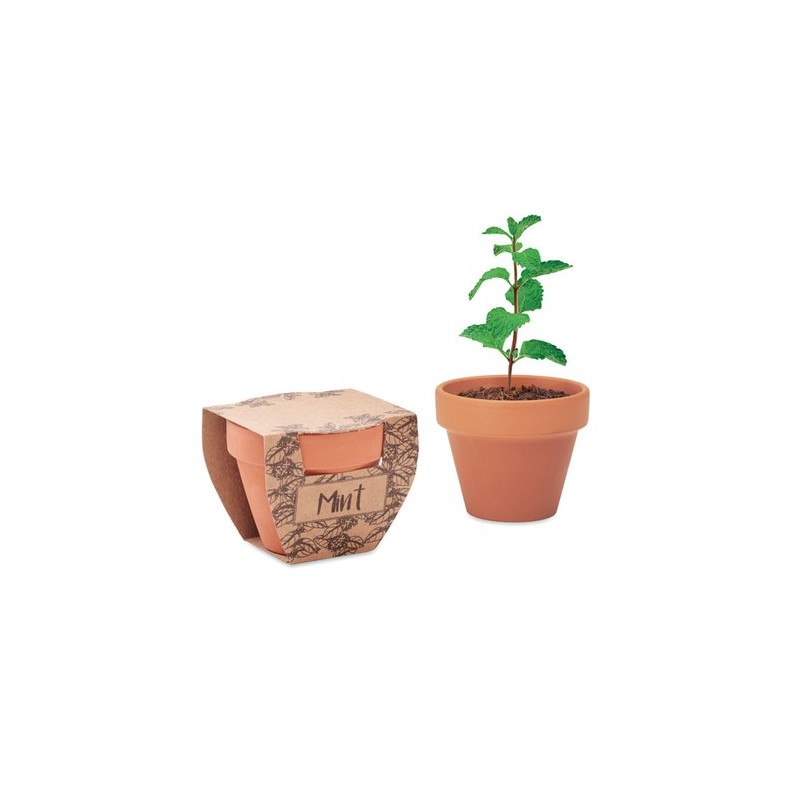 Pot  personnalisé avec graines de menthe MINT POT Couleurs : bois Matières : terre cuite