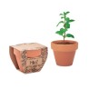 Pot  personnalisé avec graines de menthe MINT POT Couleurs : bois Matières : terre cuite