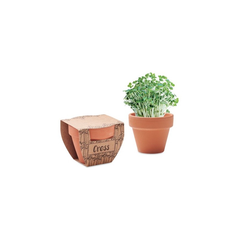 Pot  personnalisé avec graines de cresson - Cress Pot Couleurs : bois Matières : terre cuite