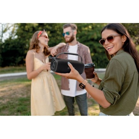 Haut-parleur 2x10 étanche NOTAMUSIC - Son puissant