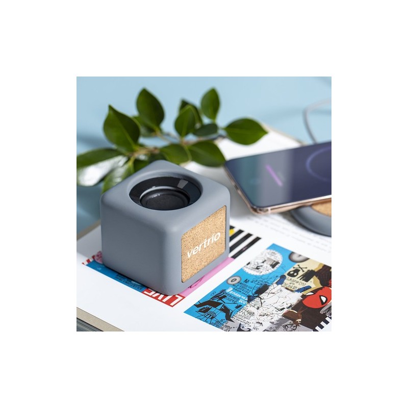 Haut-Parleur Seynol : Design Écologique et Performance