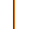 Ruban Polyester Publicitaire pour Chapeau Matières : polyester Couleurs : vert cadeau entreprise pas cher