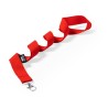 Lanyard Loriet : Écologique et Pratique