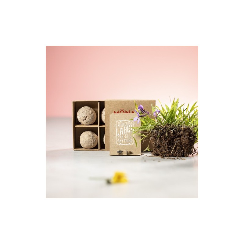 Capsule de Graine Biyok - Fleurs Sauvages Écolos