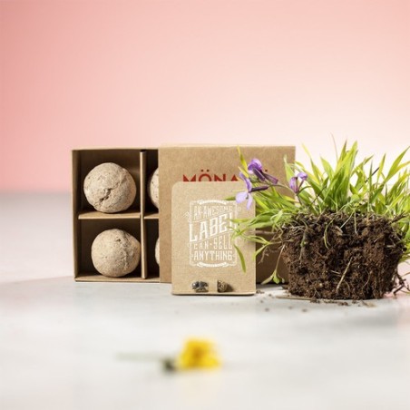 Capsule Personnalisée Économique de Graine - Biyok Matières : carton recyclé goodies publicitaire événementiel