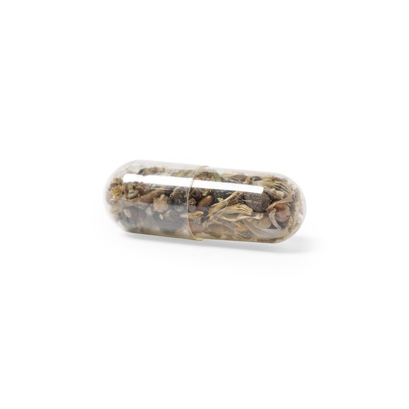 Capsule de Graine Biyok - Fleurs Sauvages Écolos