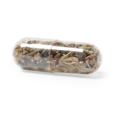 Capsule de Graine Biyok - Fleurs Sauvages Écolos
