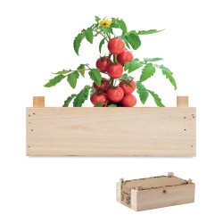 Kit de Culture Écologique de Graines de Tomates Personnalisé - TOMATO