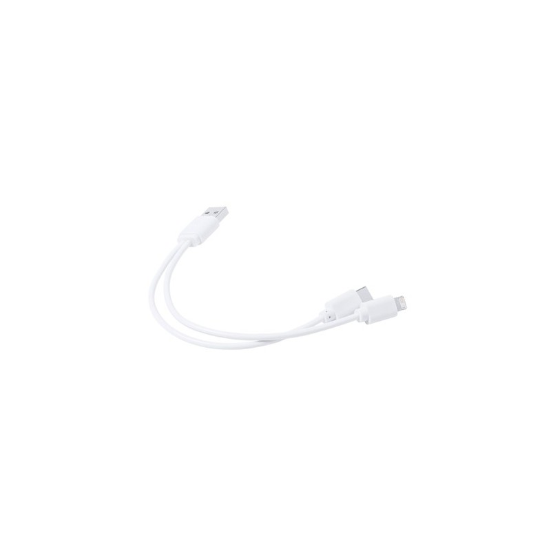 Câble de Charge Vitral - Pratique et Polyvalent