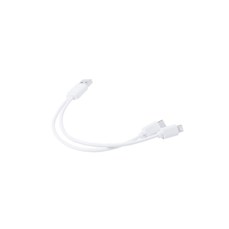 Câble de Charge Vitral - Pratique et Polyvalent