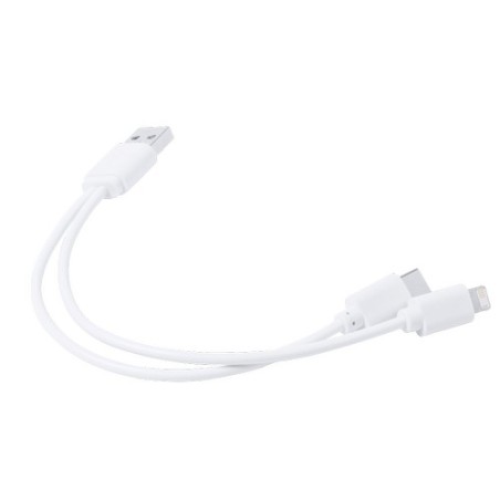 Câble de Charge Vitral - Pratique et Polyvalent