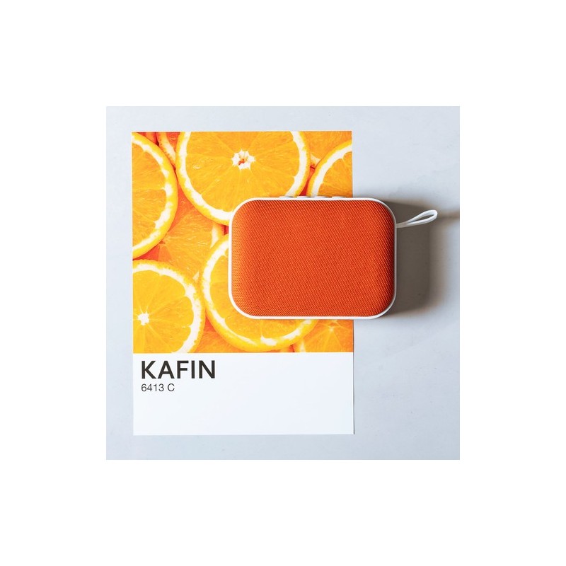 Haut-Parleur Kafin : Connectivité et Style