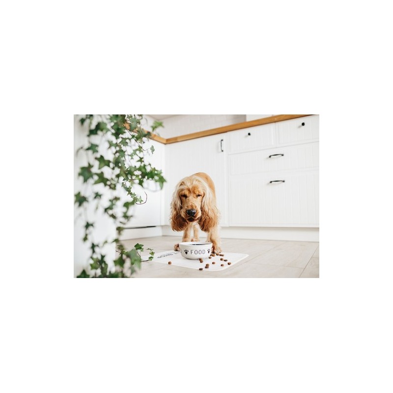 Tapis Misbiz : l'accessoire fitness indispensable