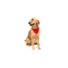 Collier Bandana Personnalisé Éco-responsable pour Animal Roco Matières : polyester Couleurs : bleu personnalisation sur mesure