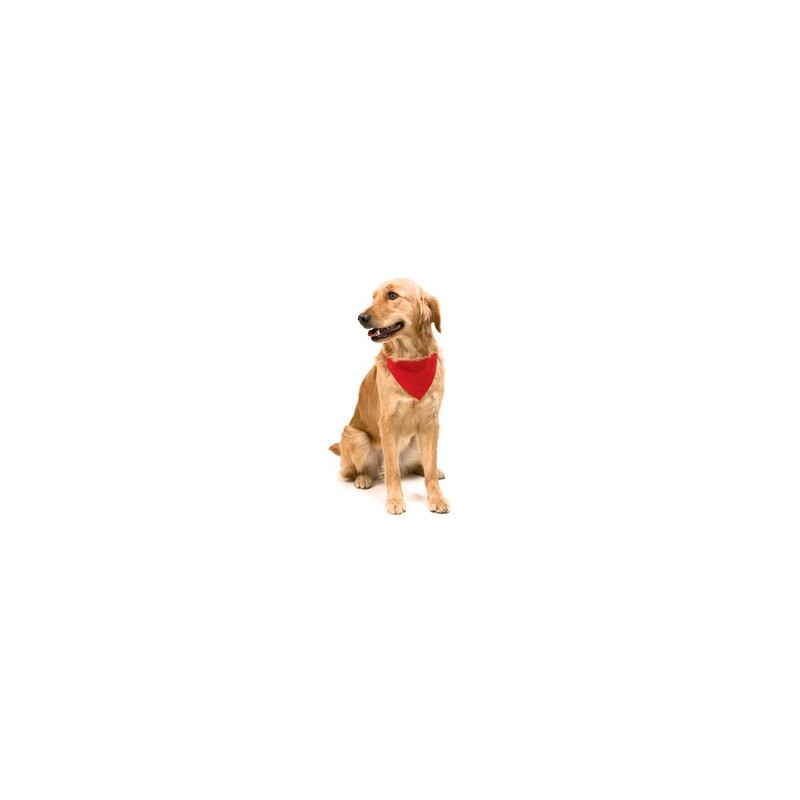 Collier Bandana Personnalisé Éco-responsable pour Animal Roco Matières : polyester Couleurs : blanc marquage couleur éclatante