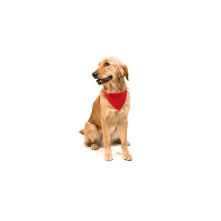 Collier Bandana Personnalisé Éco-responsable pour Animal Roco Matières : polyester Couleurs : blanc marquage couleur éclatante
