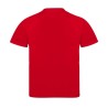 T-Shirt Enfant Personnalisé 100% Polyester Éco-responsable Tecnic Sappor Matières : polyester Taille textile : 6/8 ans Couleurs 